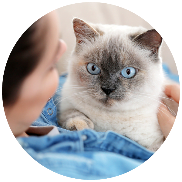 Telehealth After-Hours Triage Services